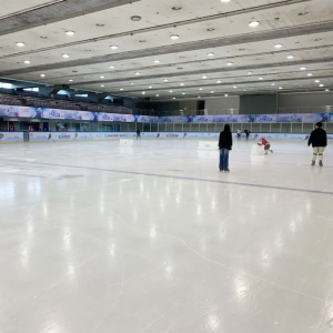 合成溜冰場面板